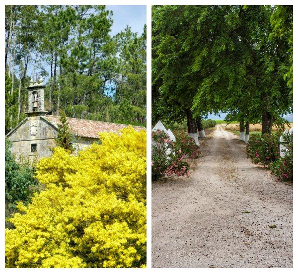 El campanario del Pazo de la Saleta, en la provincia de Pontevedra, que cuenta también con un precioso jardín botánico.
