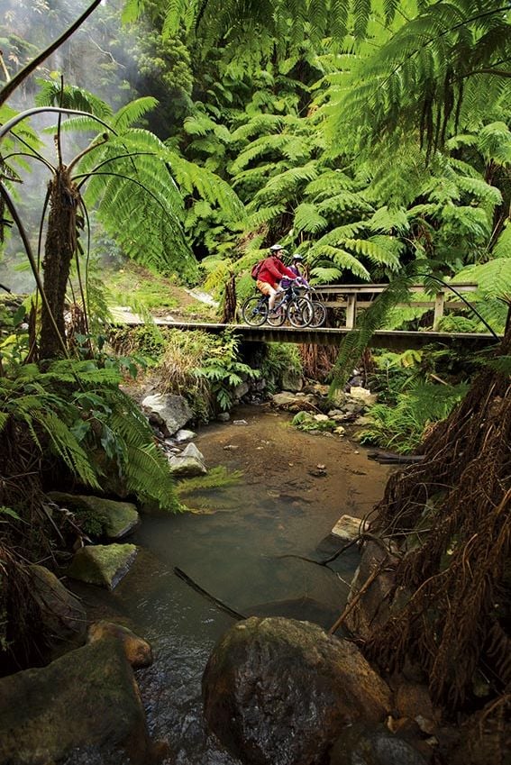 Mountain-Biking-azores-portugal