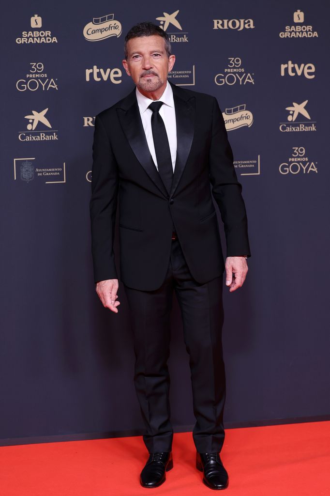 Antonio Banderas en la alfombra de los premios Goya 2025