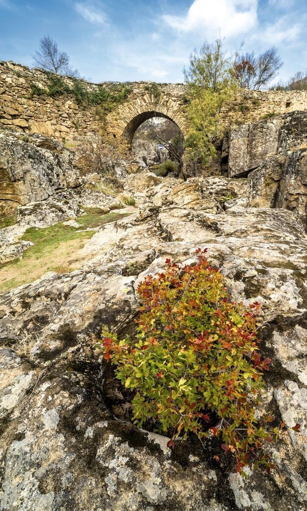 El puente del Congosto