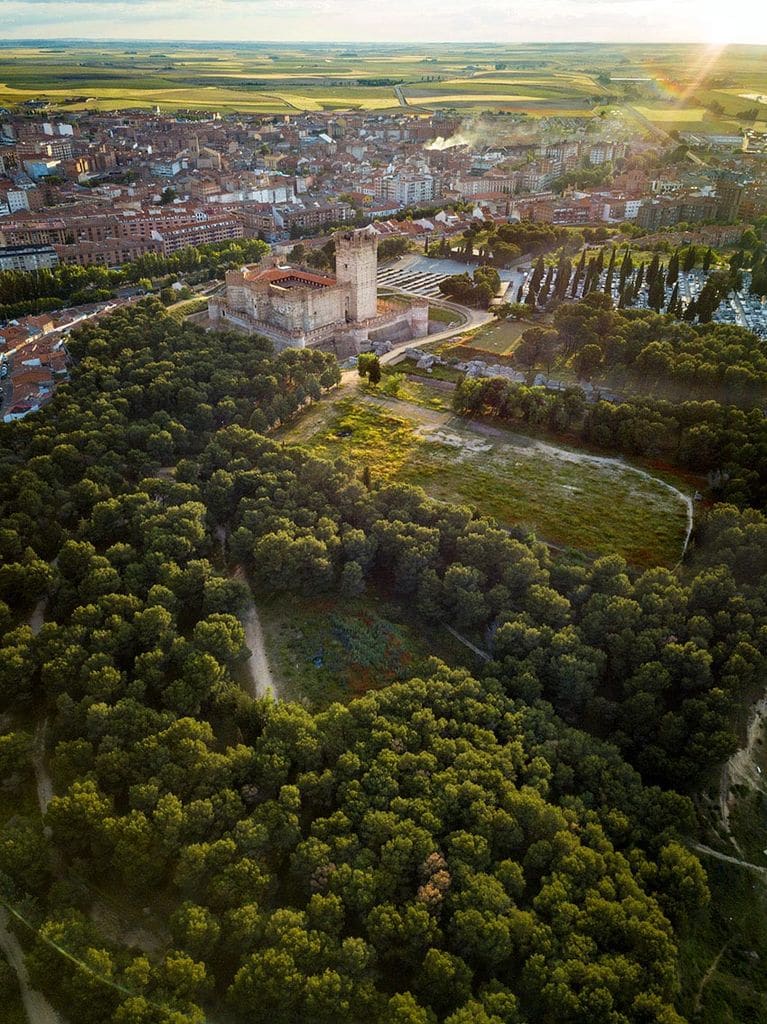 castillo-de-la-mota