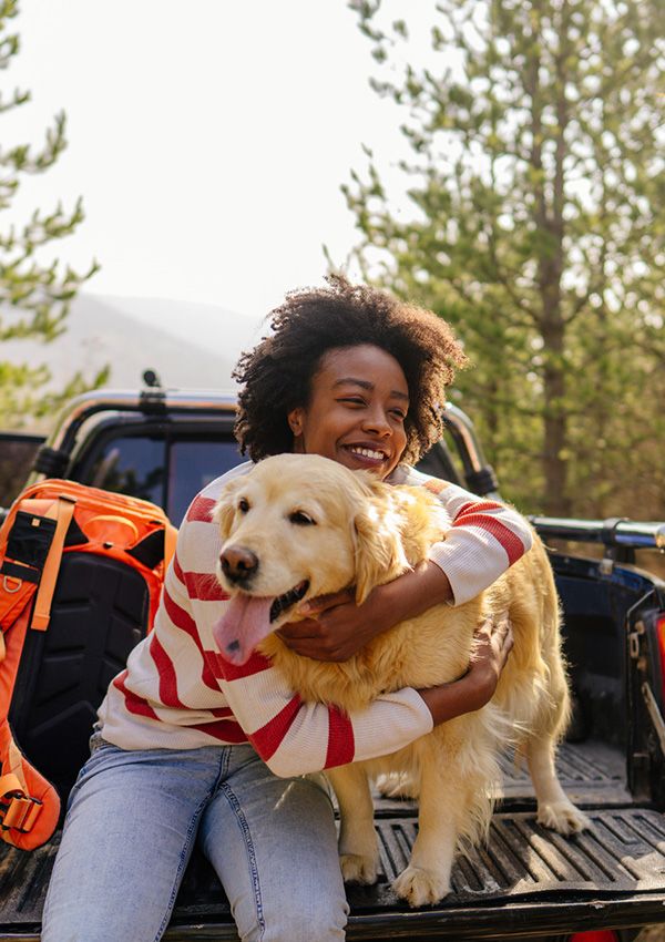 Los mejores transportines para perros grandes