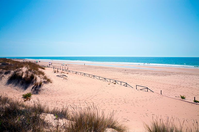 Playa Palmar Cadiz andalucia