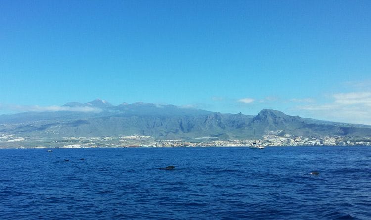 Tenerife-maria