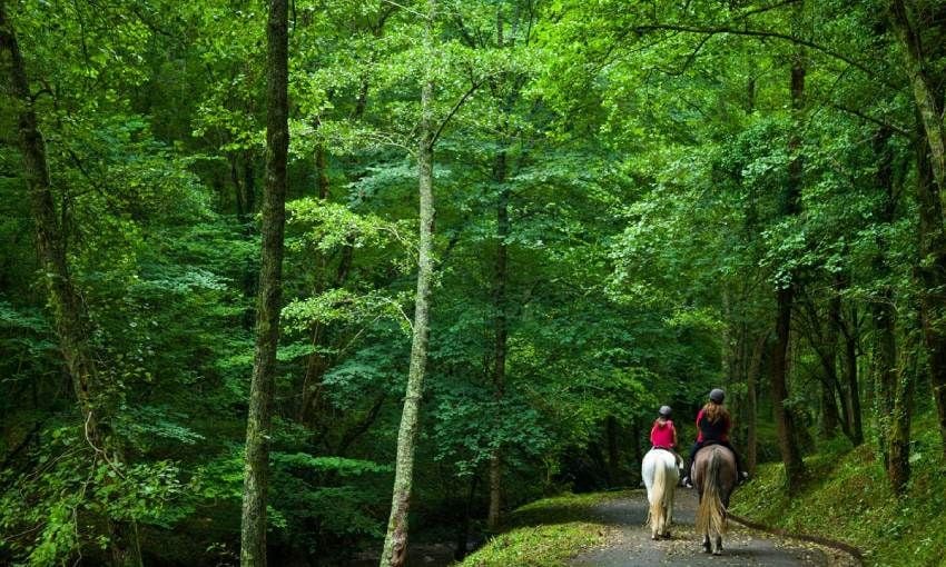 Paseo a caballo por el Parque Natural de Pagoeta, Guipúzcoa