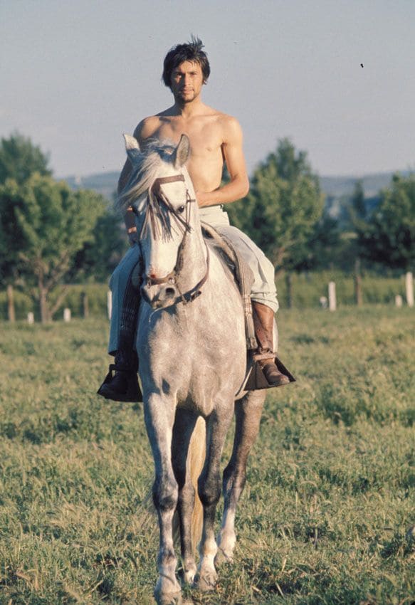 plaomo linares caballo