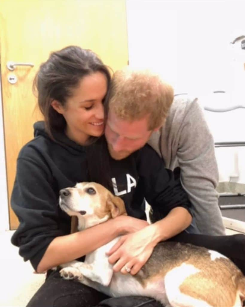 Meghan Markle ha compartido la triste partida de Guy, uno de sus perritos.