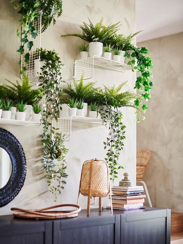 casa con plantas 6