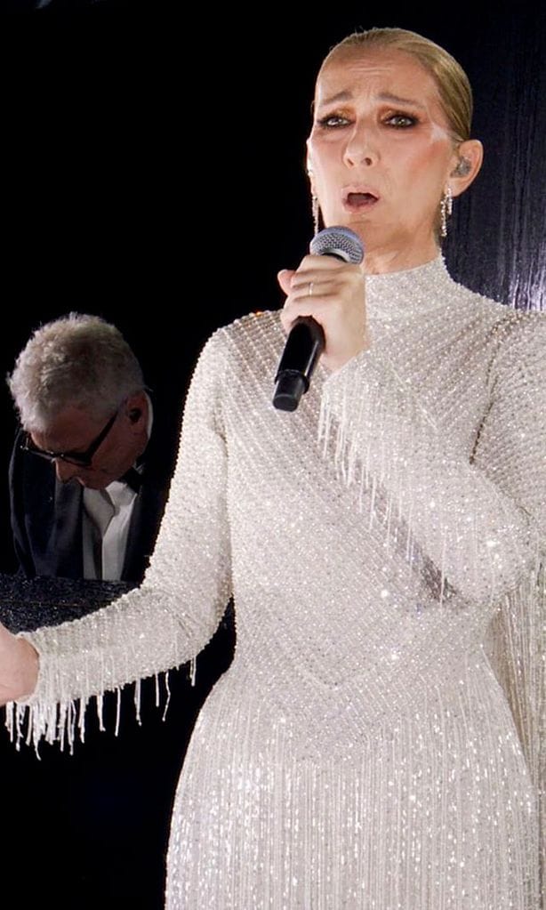 El vestido de Céline Dion, un diseño de Dior Alta Costura en georgette de seda, con lentejuelas y más 500 metros de flecos con cuentas plateadas.