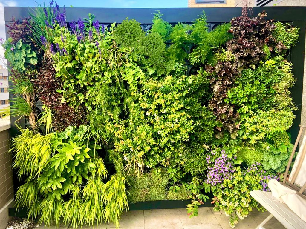 Terraza con un bello jardín vertical diseño de Landscapers