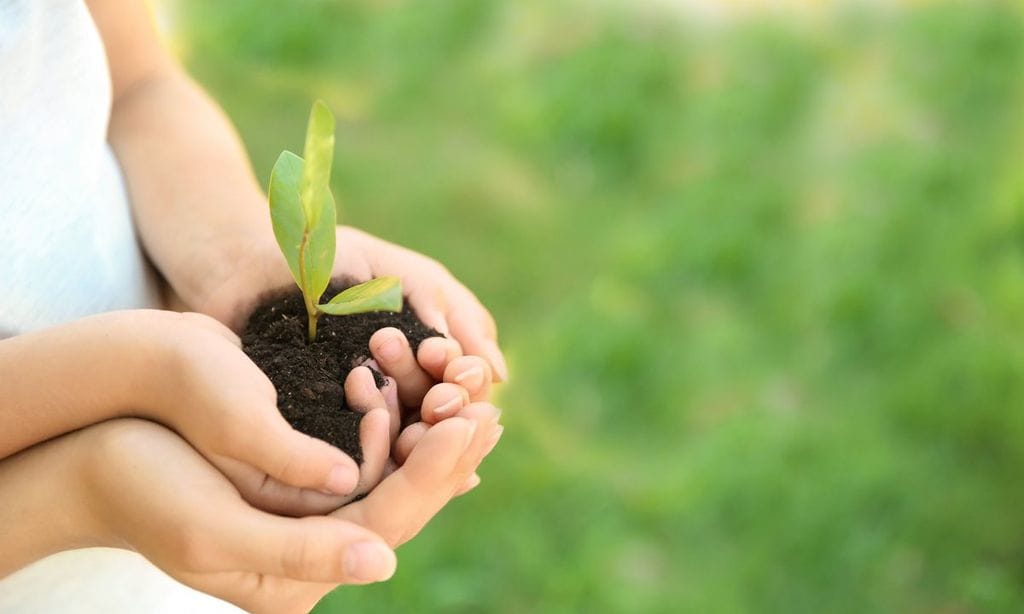 resiliencia infantil