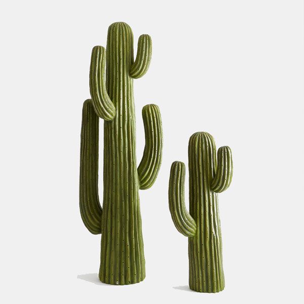 cactus artificiales