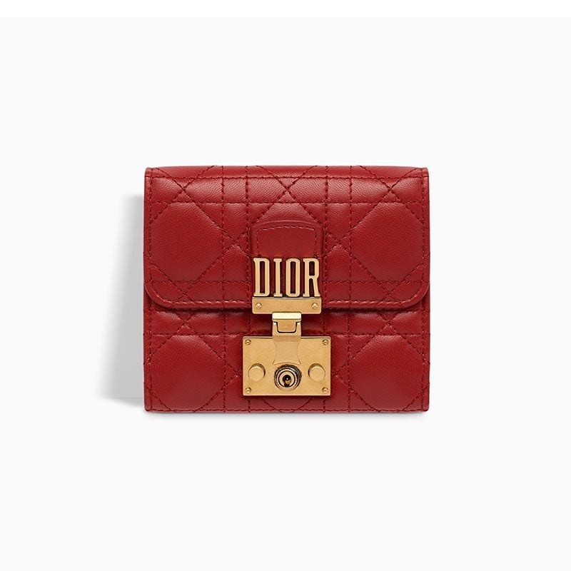 dior cartera