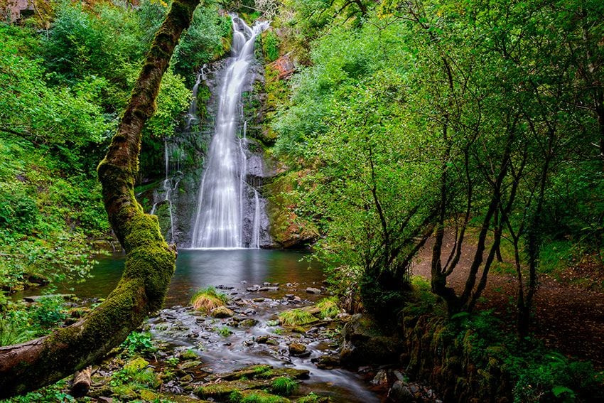 Bosque de O Courel, Galicia