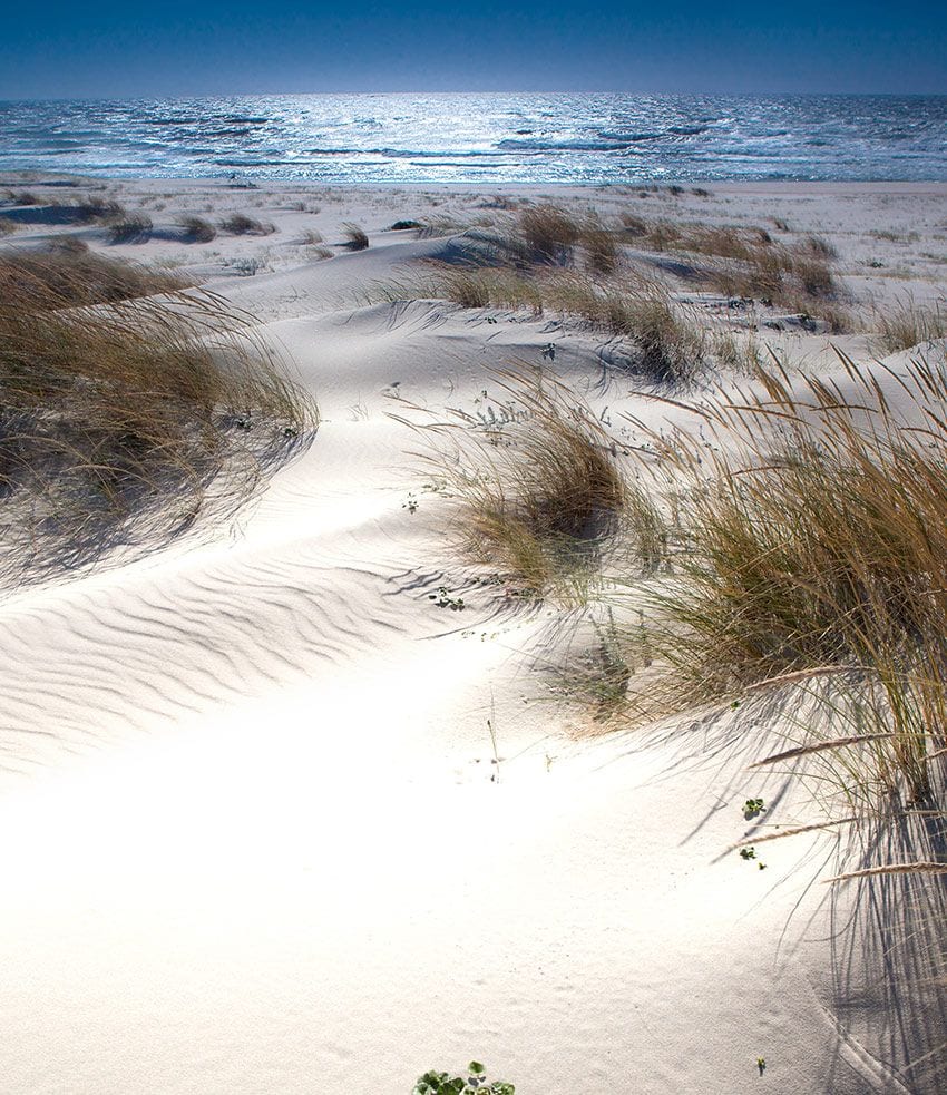 dunas sao jacinto