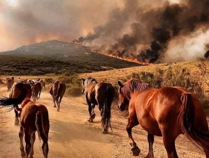 Incendio Navaluenga