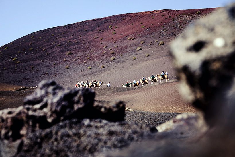 Timanfaya-Lanzarote-camellos