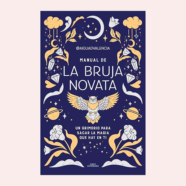 libro la bruja novata