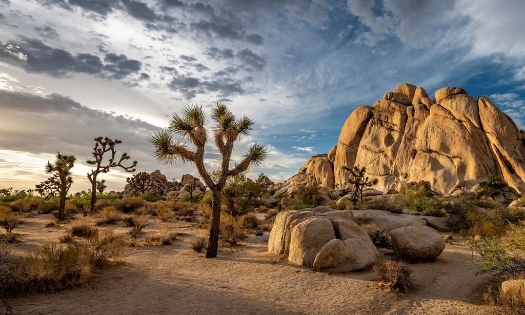 Joshua Tree National Park cloudy sunset