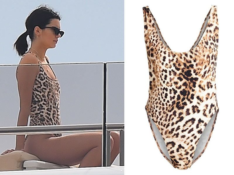 kendall-leopardo