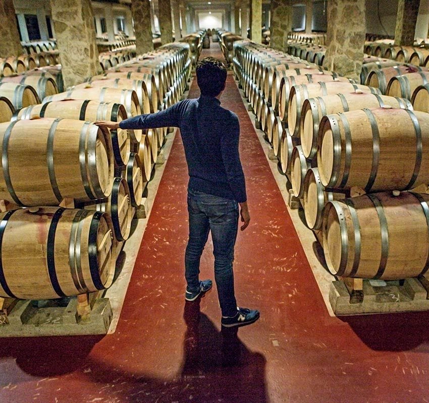 bodega torremilanos aranda de duero