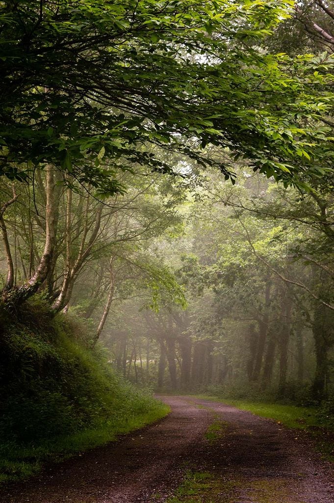 parque natural ponga asturias