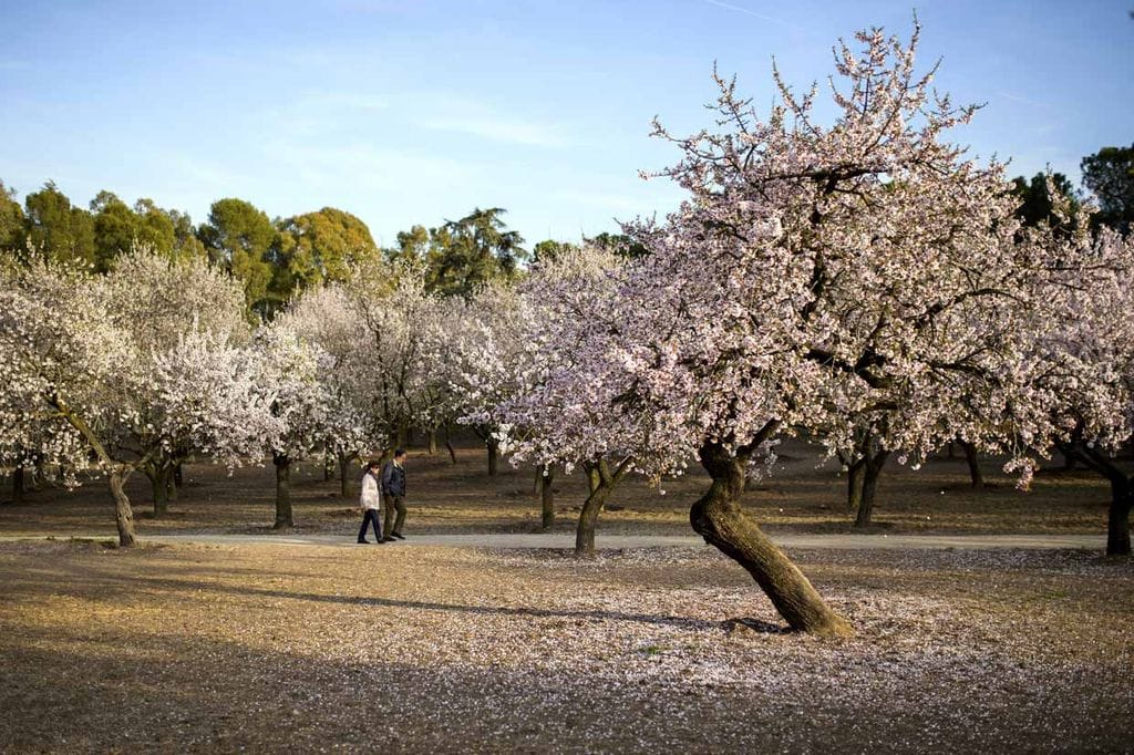 a_Quinta de los molino