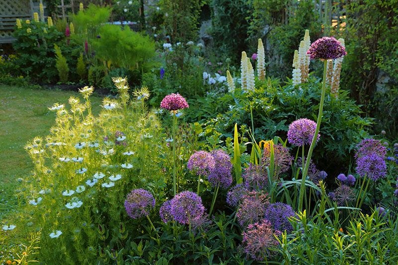 cuidados jardin fin verano 8