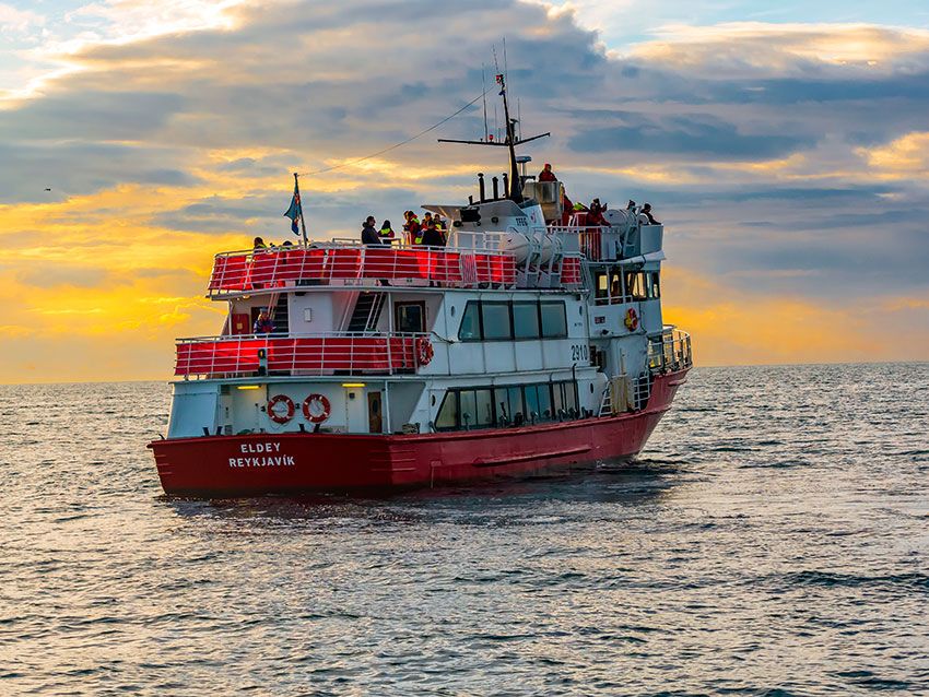 islandia-barcos-avistamientos