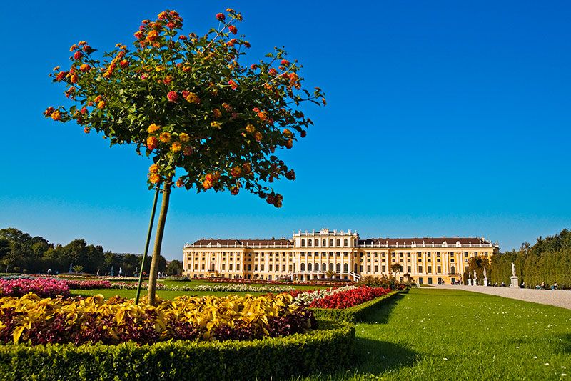 1 Parque del Palacio Schonbrunn viena austria