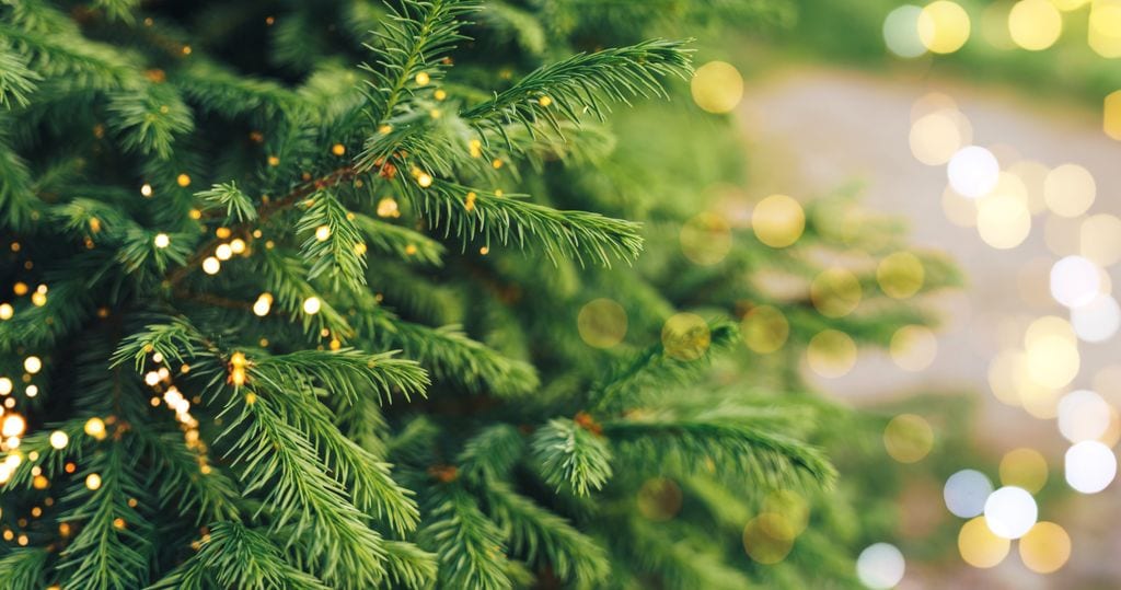 Árbol de Navidad