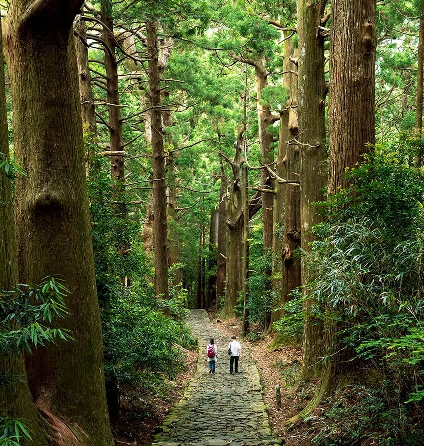 kumano-kodo-camino