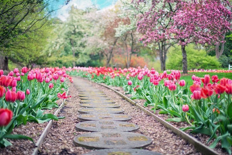 preparar jardin para primavera marzo hola decoracion 06