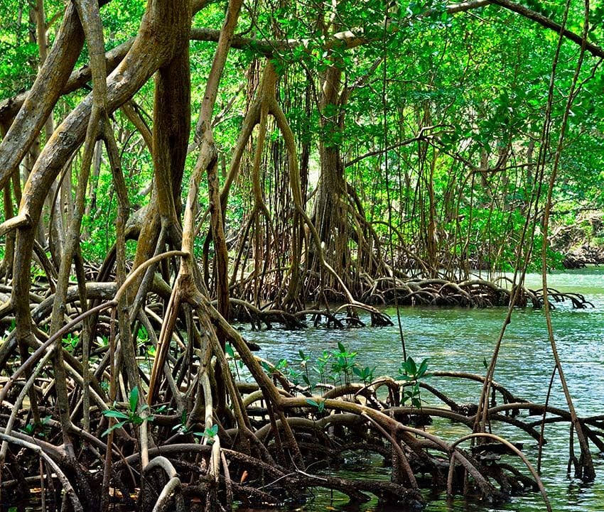 samana-parque-natural-haitises