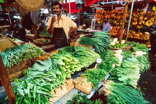 La comida es el resultado de la fusión de la isla 