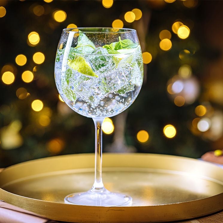 gintonic navidad adobe