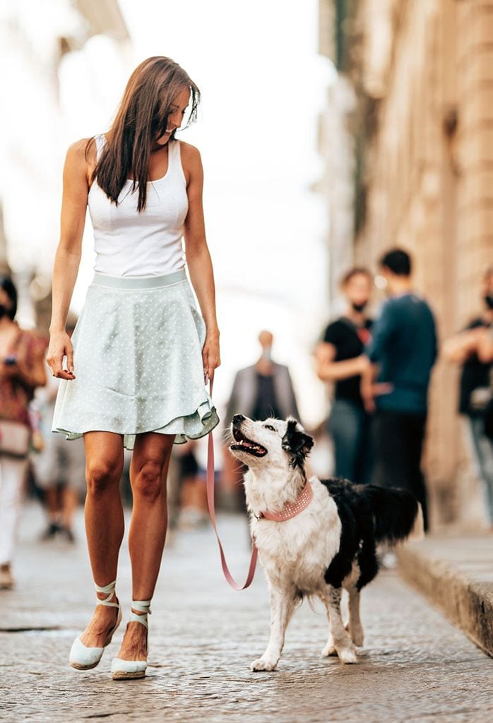 Esto es lo que tienes que tener en cuenta si vas a viajar con tu perro este verano