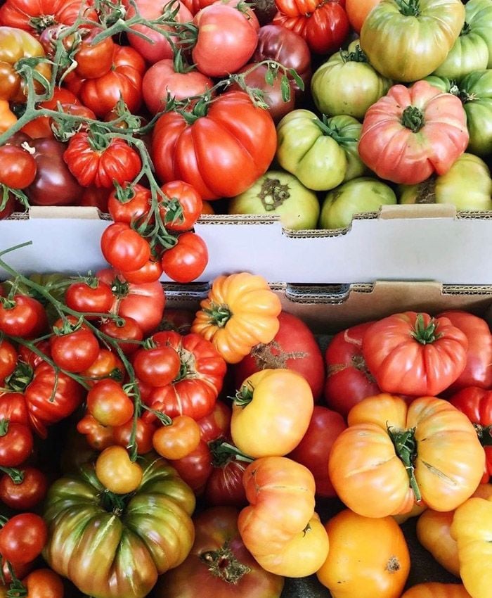 tomates-verano