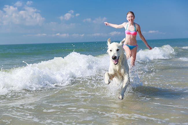 Qué necesitas saber para ir con tu perro a la playa