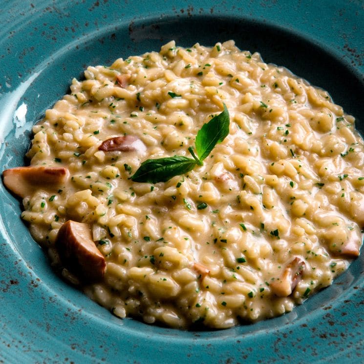 risotto adobe