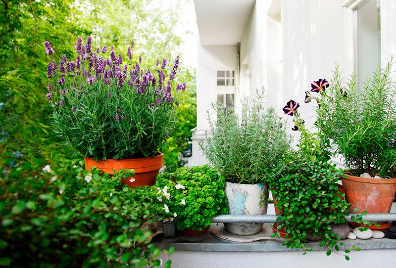 plantas exterior balcon 06a