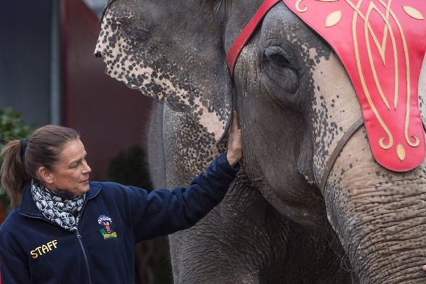 La Princesa trabaja activamente con varias organizaciones solidarias y preside una para la lucha contra el SIDA, además dedica gran parte de su tiempo al cuidado de Babe y Nepal, dos elefantes que rescató de un zoo y que viven en la finca familiar de Roc Agel 