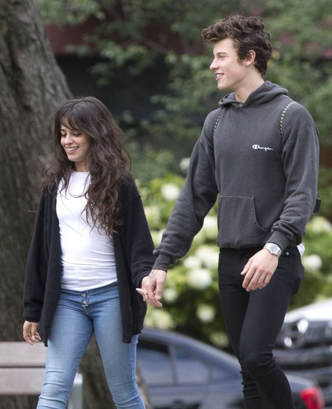 Camila y Shawn