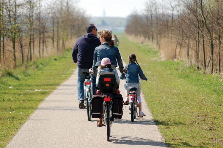 van-gogh-carril-bici-aniversario