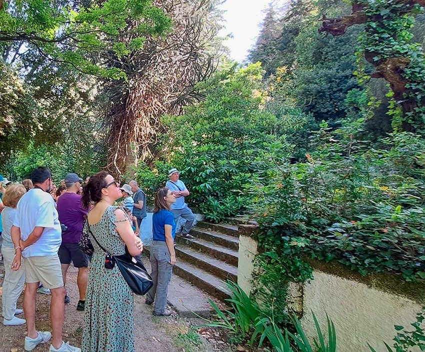 Jardín Histórico “El Coto de Ntra. Sra. del Carmen, Peñacaballera, Sierras de Béjar, Salamanca