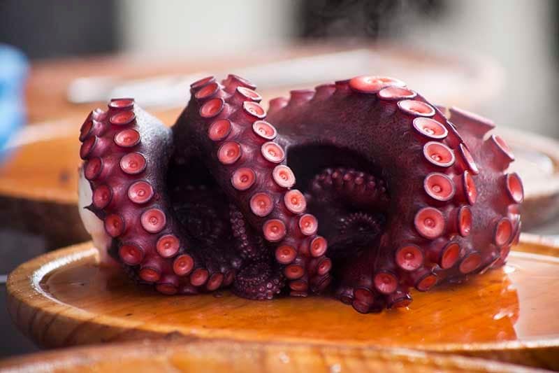 pulpo iStock 154969695