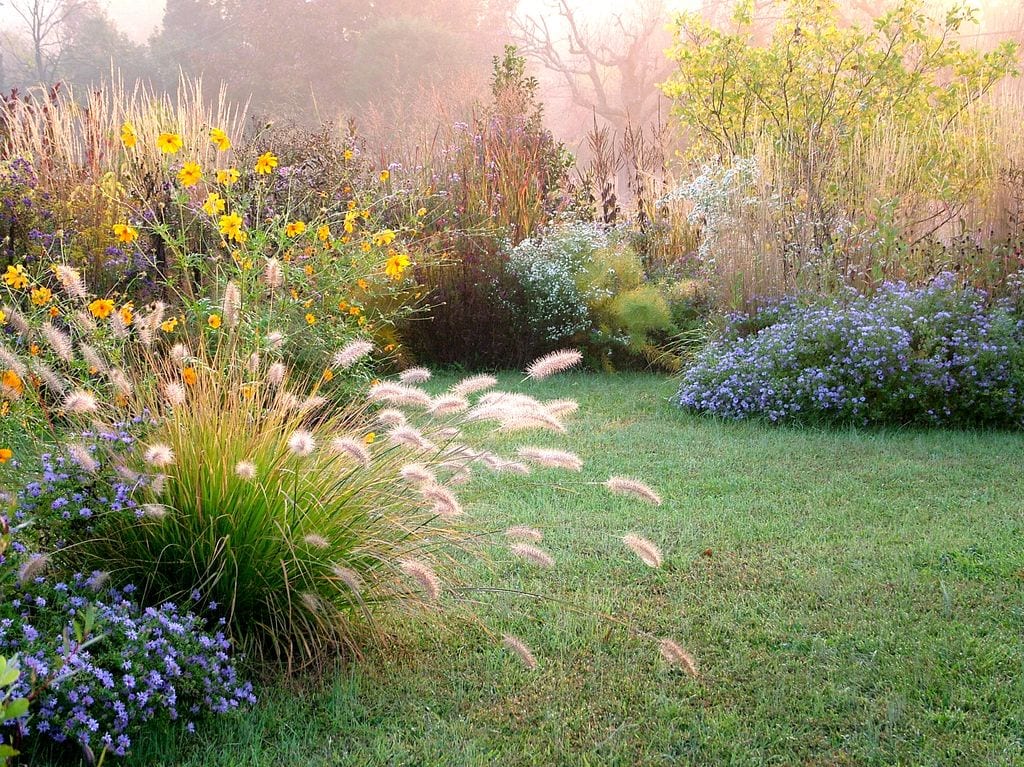 Un hermoso jardín otoñal que incluye flores, plantas perennes, gramíneas y leñosas, con césped