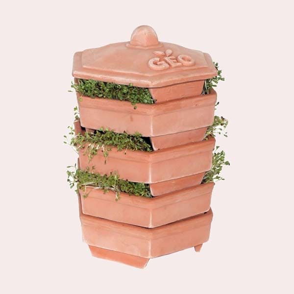 germinador ceramica torre