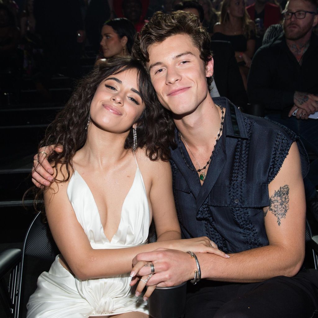 camila cabello sings shawn mendes song
