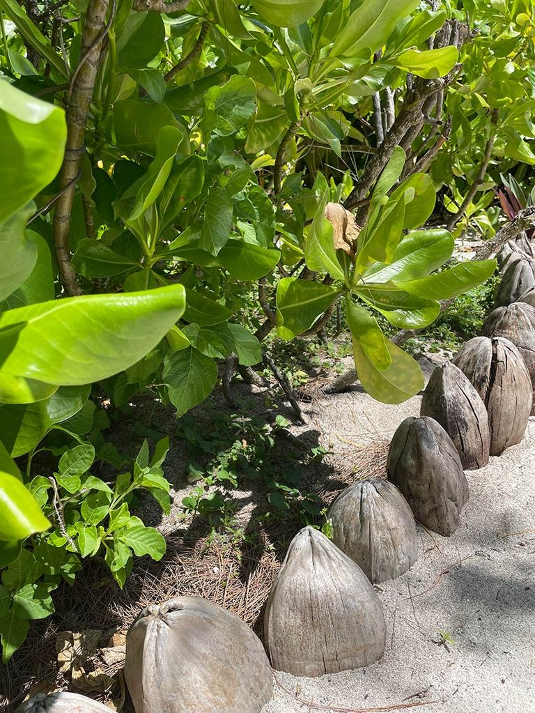 Seychelles, paraíso de naturaleza en el Índico